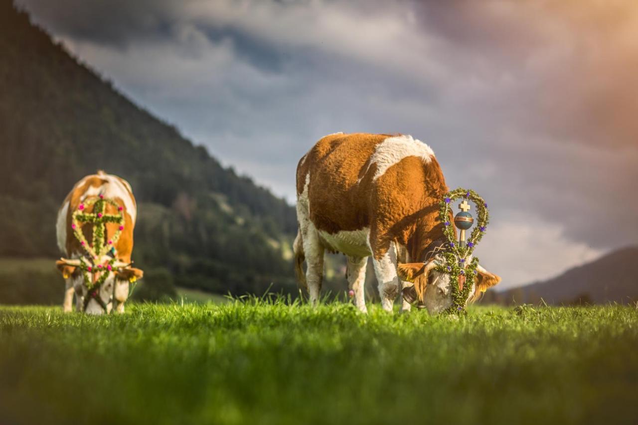 Der Anderlbauer Am Bauernhof *